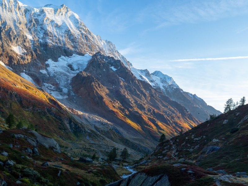 Olivia Schmid 14. Oktober 2025-