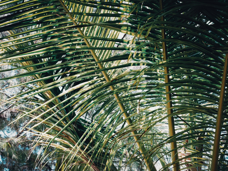 Olivia Schmid 02. April 2026-