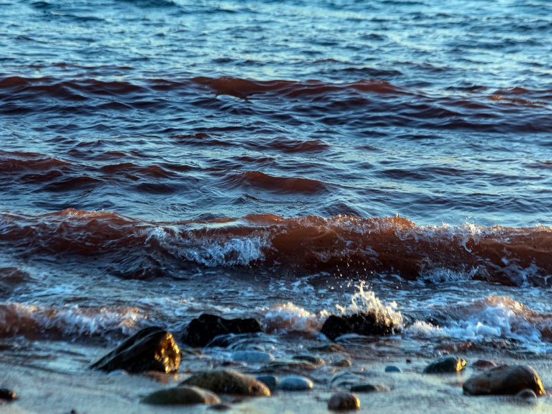 Olivia Schmid 16. April 2026-